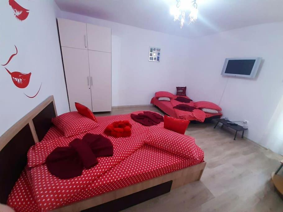 Cazare Centru Braşov Exterior foto